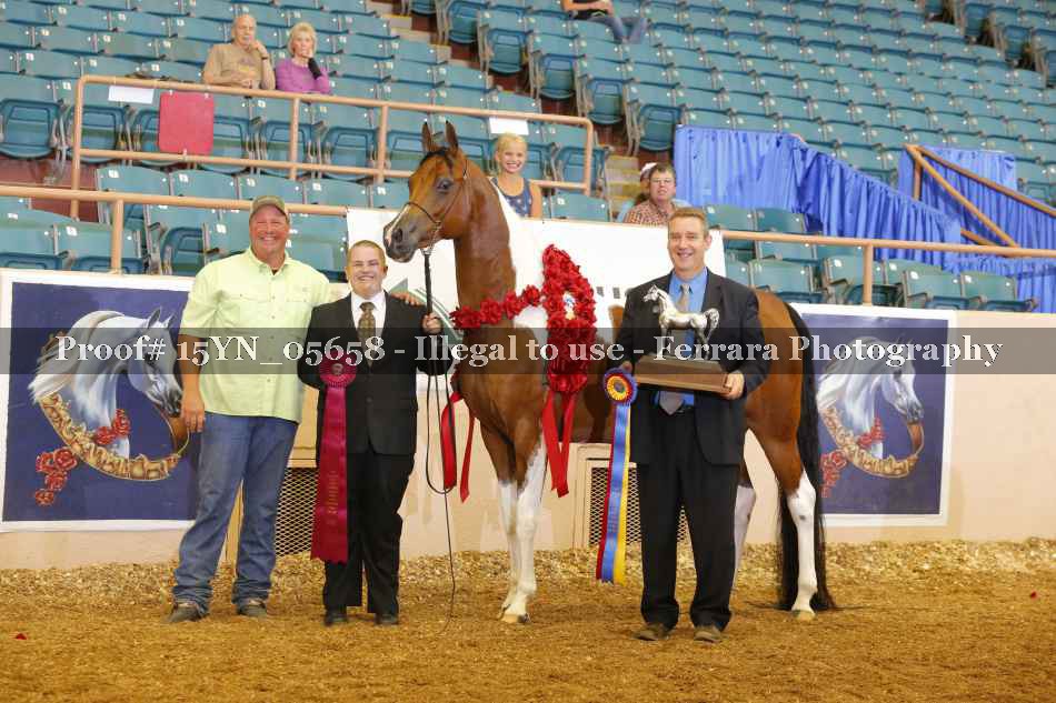 Proof 15YN_05658