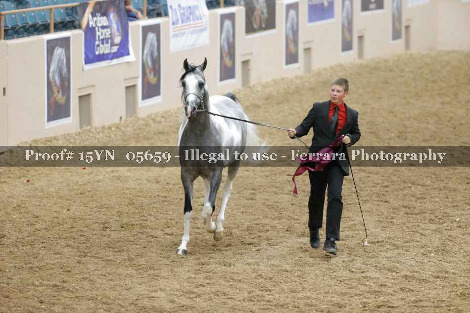 Proof 15YN_05659