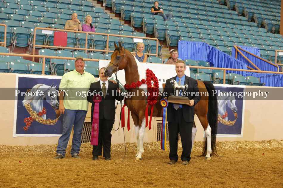 Proof 15YN_05660