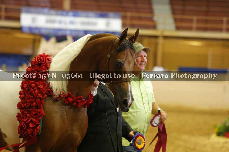 Proof 15YN_05661