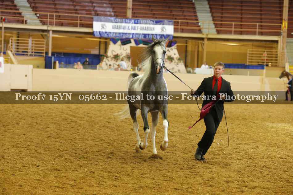Proof 15YN_05662