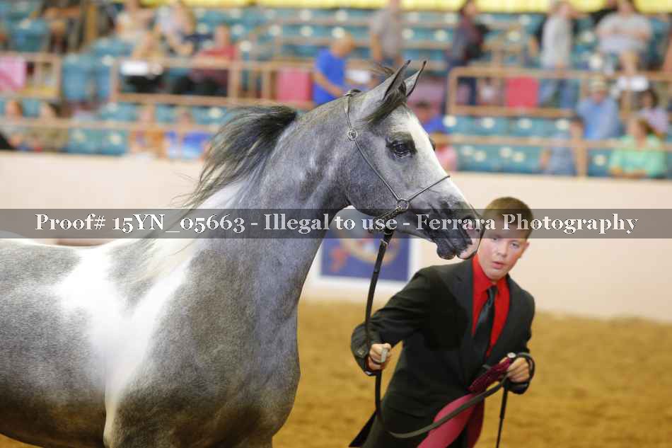Proof 15YN_05663