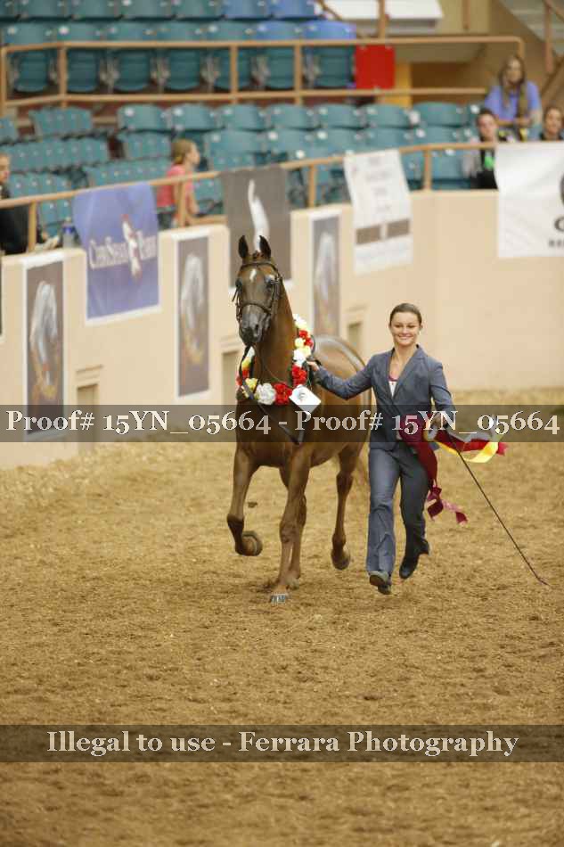 Proof 15YN_05664