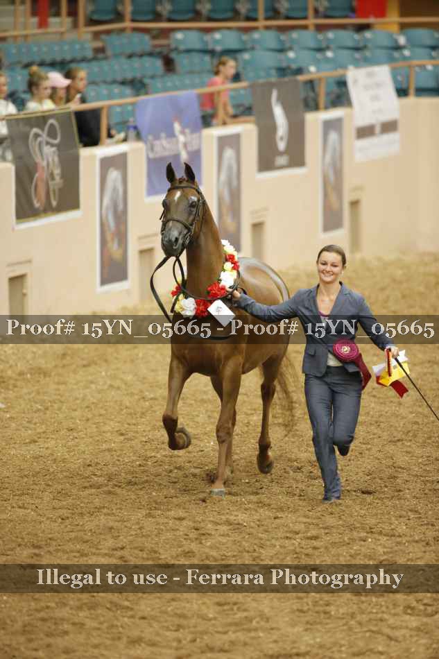 Proof 15YN_05665