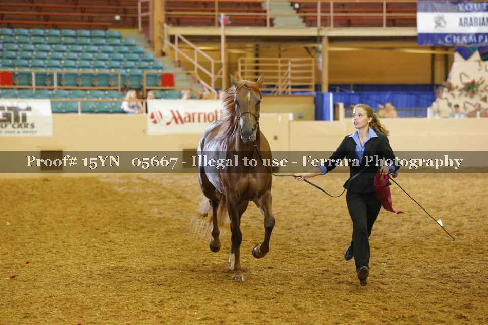 Proof 15YN_05667