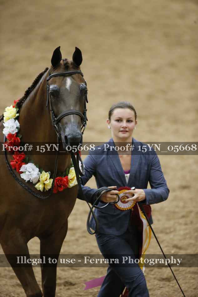 Proof 15YN_05668