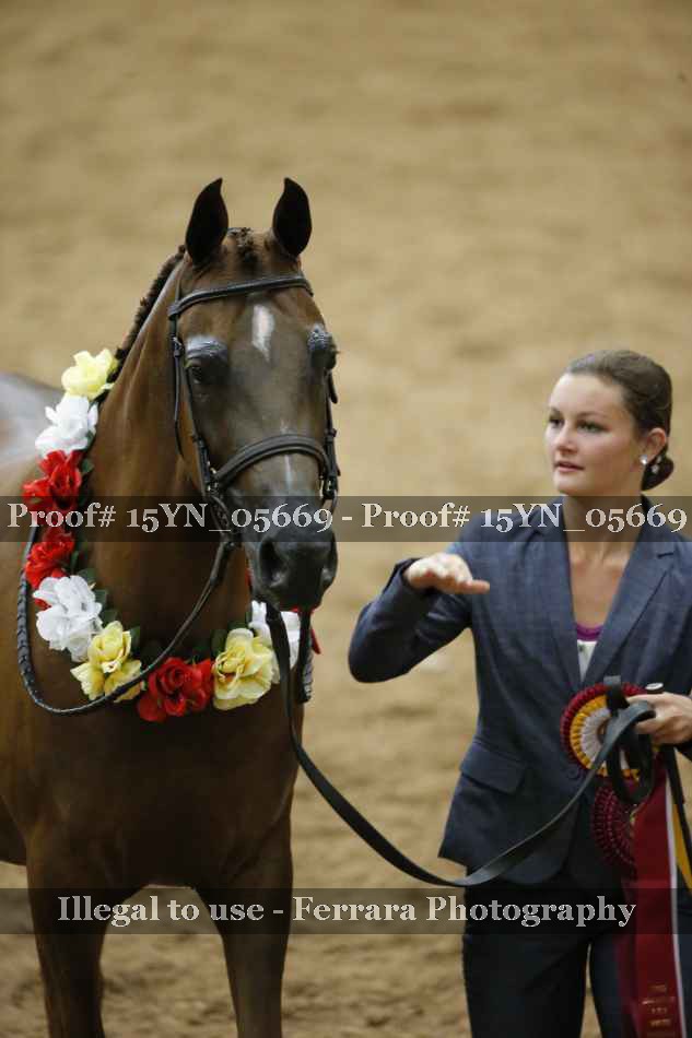 Proof 15YN_05669