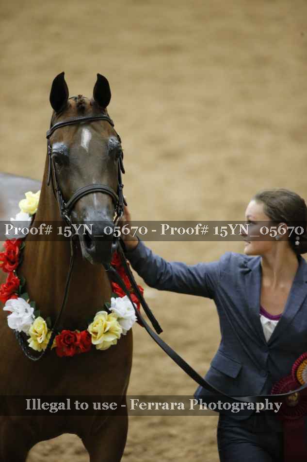 Proof 15YN_05670
