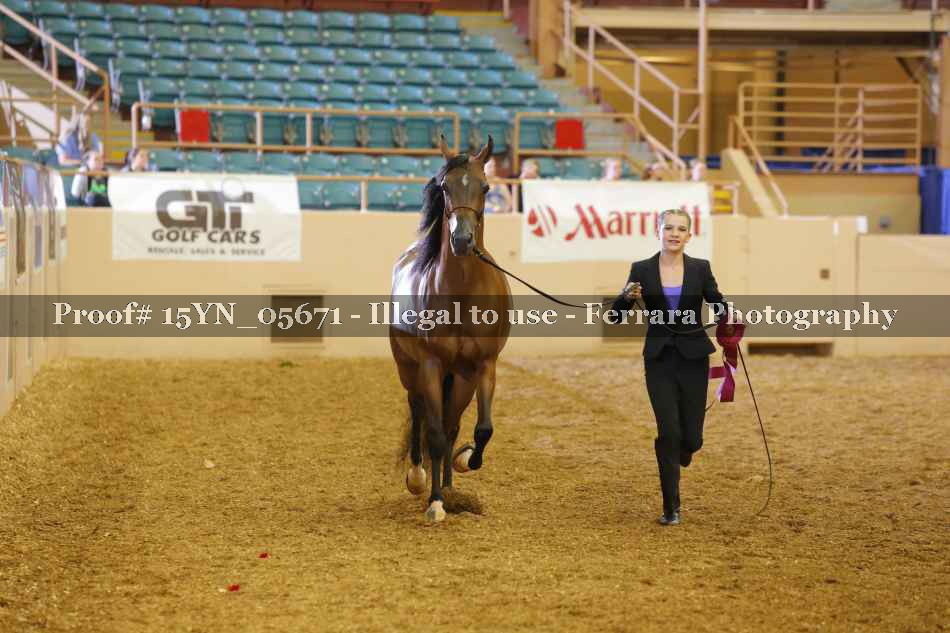 Proof 15YN_05671