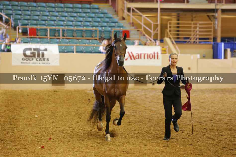 Proof 15YN_05672