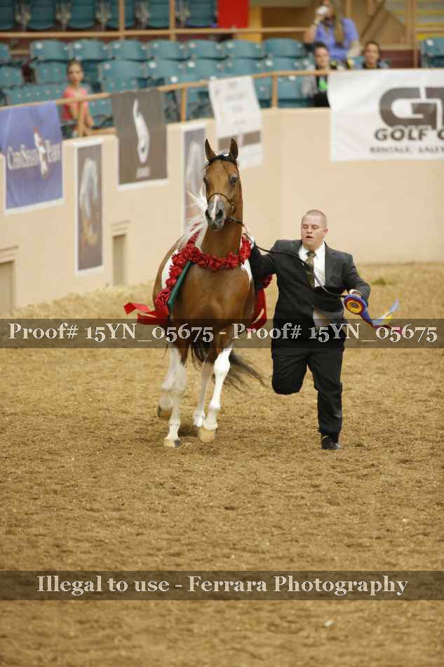 Proof 15YN_05675