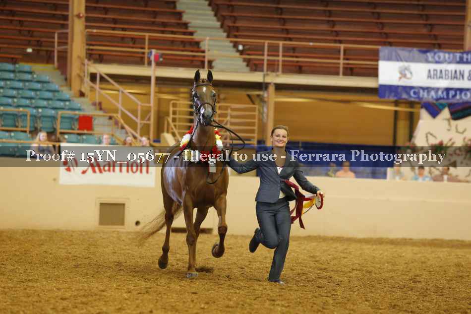 Proof 15YN_05677