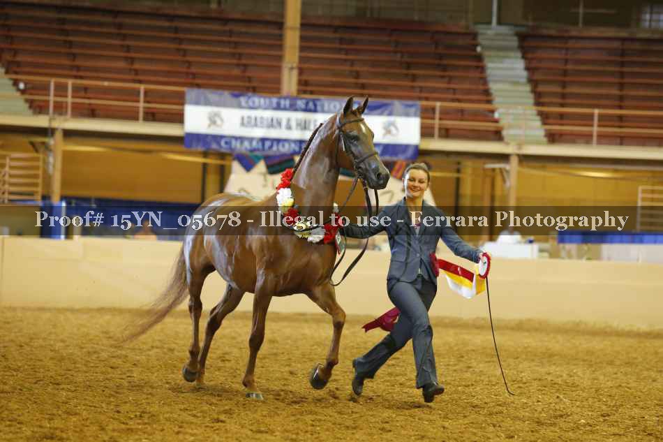 Proof 15YN_05678