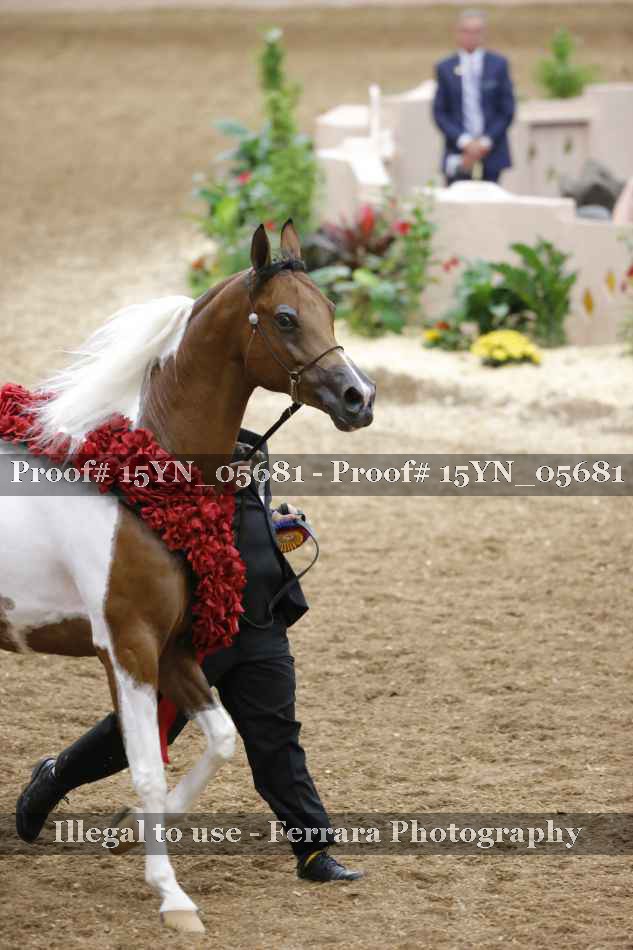 Proof 15YN_05681