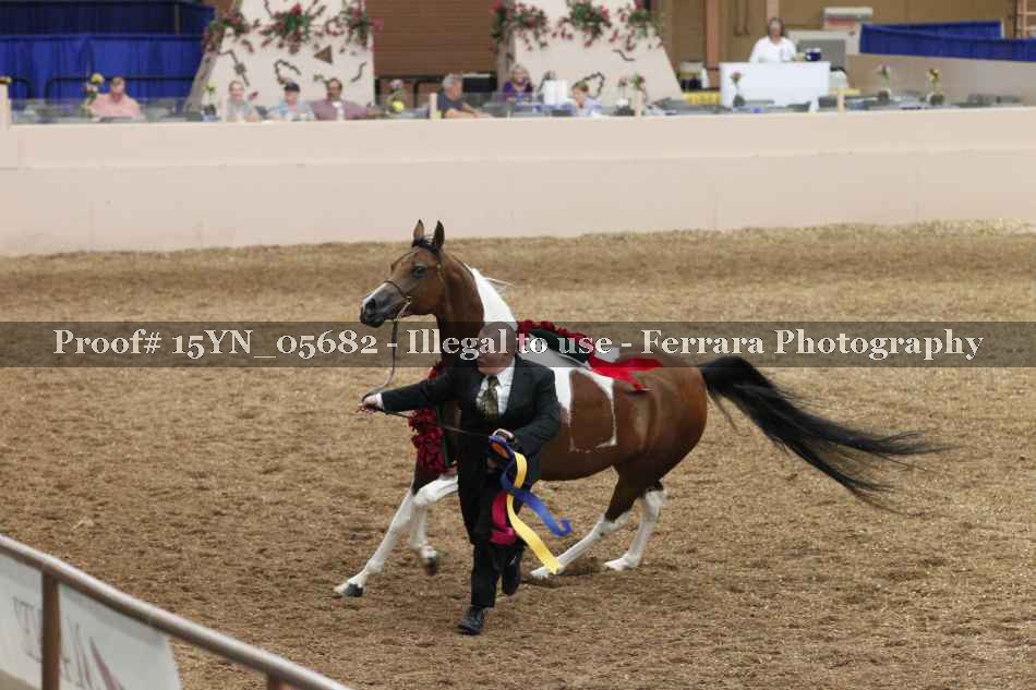 Proof 15YN_05682