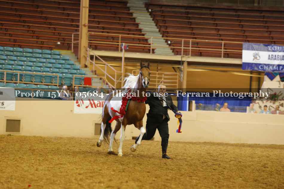 Proof 15YN_05684