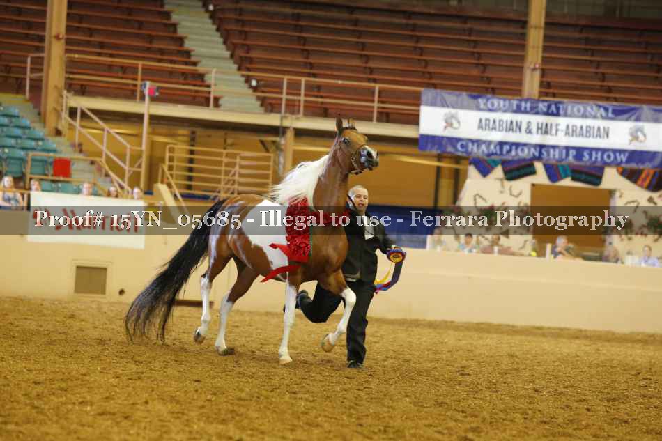 Proof 15YN_05685