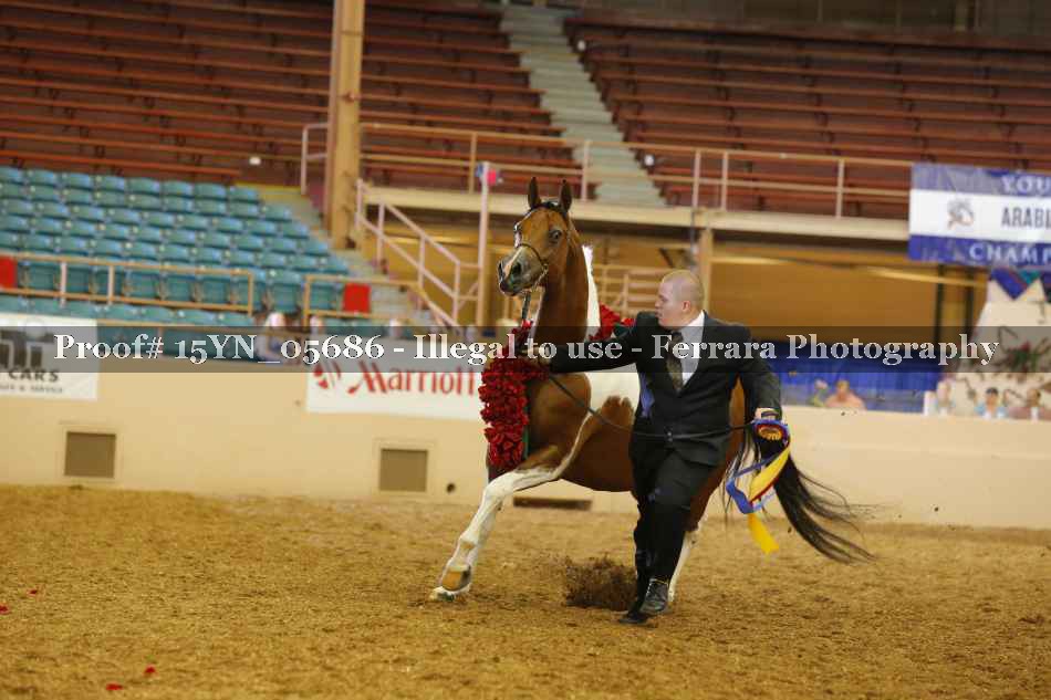 Proof 15YN_05686