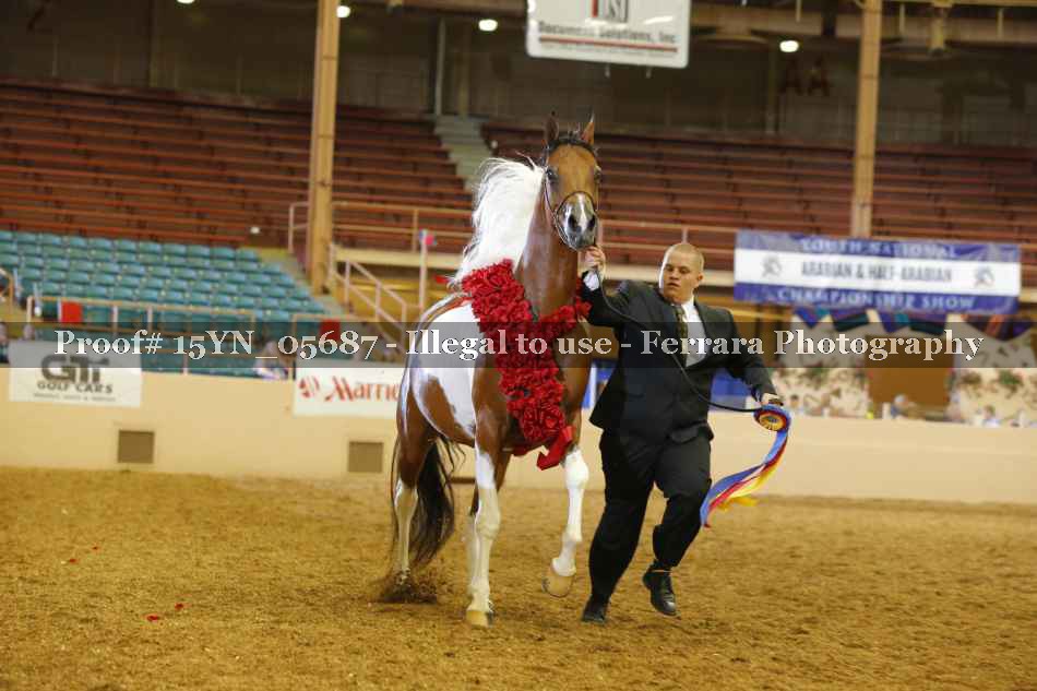 Proof 15YN_05687
