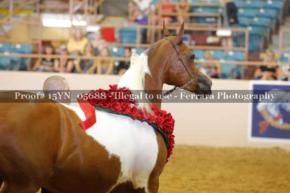 Proof 15YN_05688