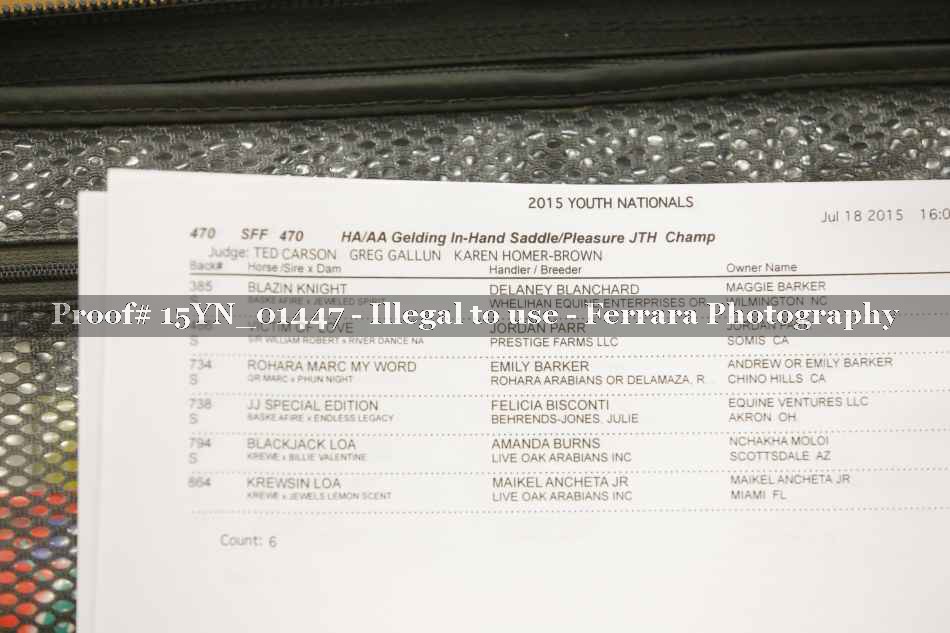 Proof 15YN_01447