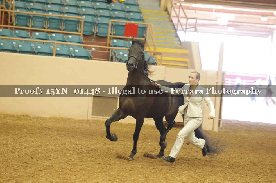 Proof 15YN_01448