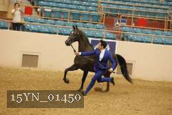 15YN_01450 proof