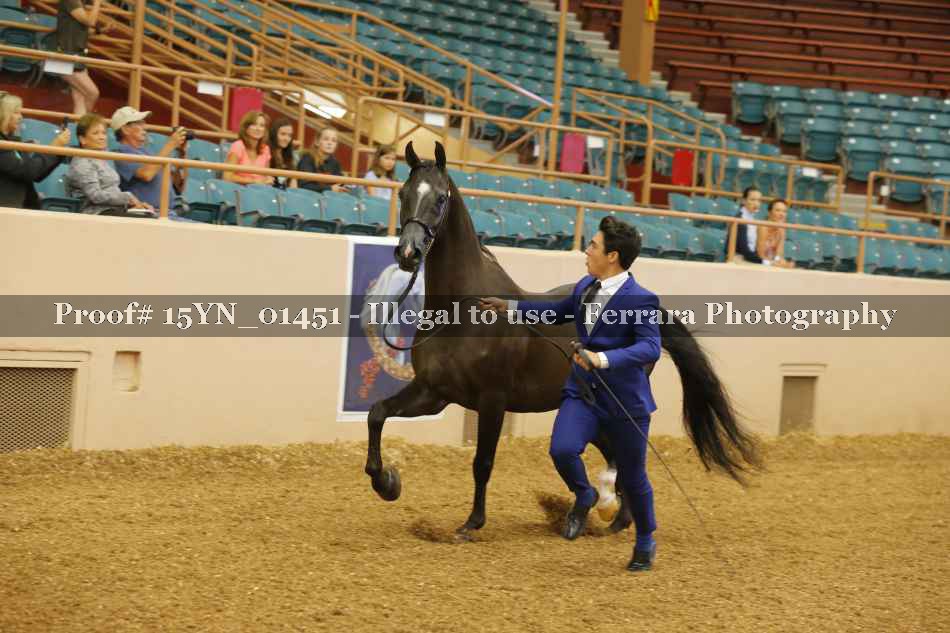 Proof 15YN_01451