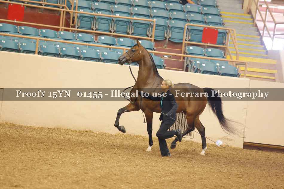 Proof 15YN_01455