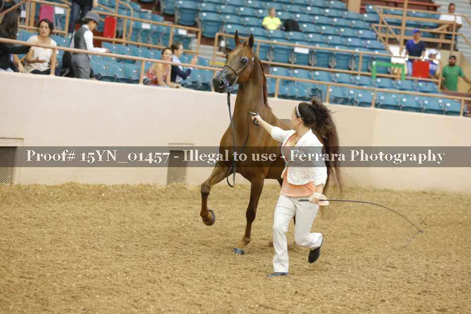 Proof 15YN_01457