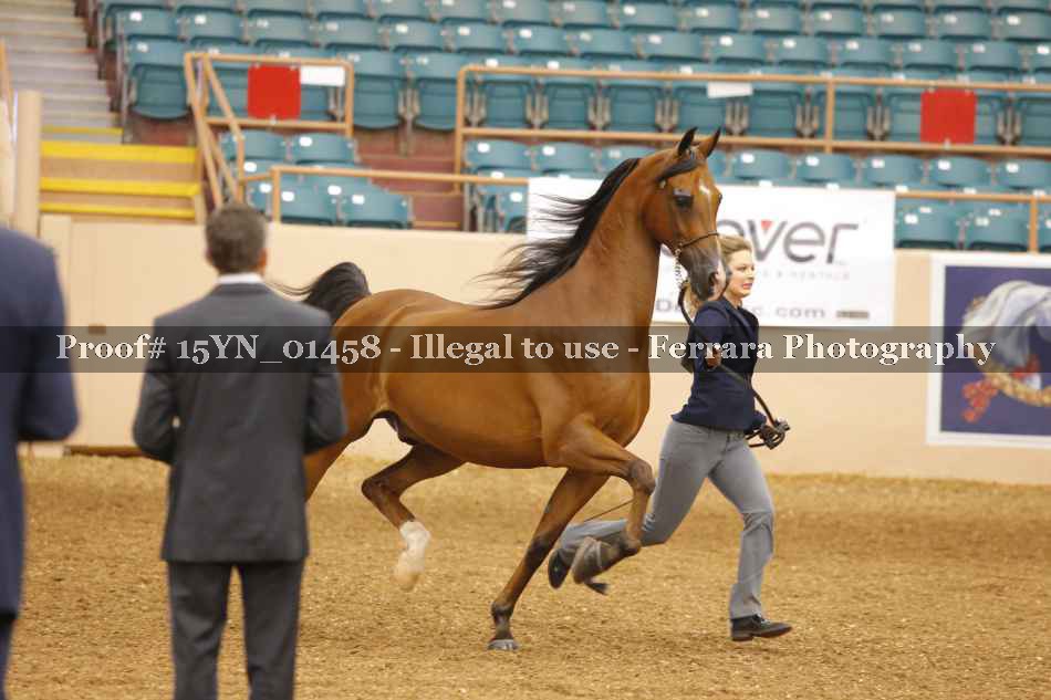 Proof 15YN_01458