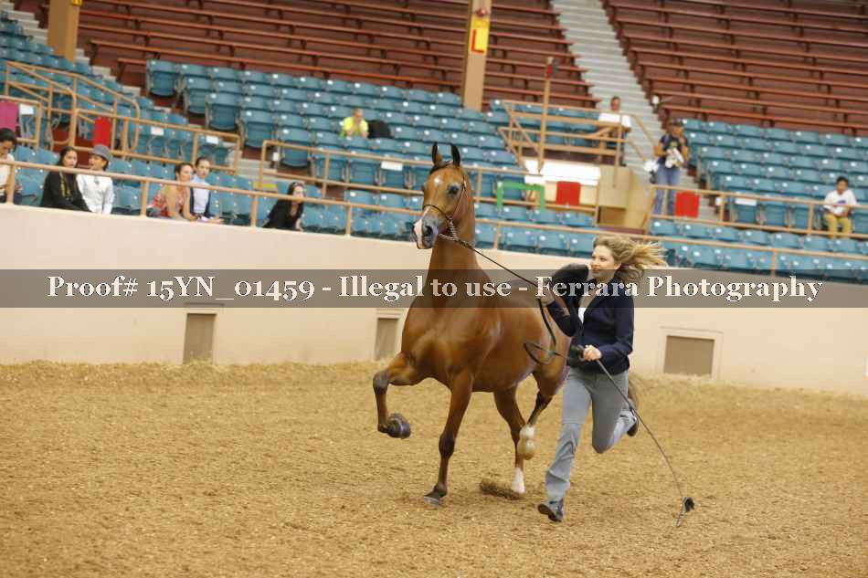 Proof 15YN_01459