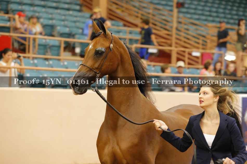 Proof 15YN_01461