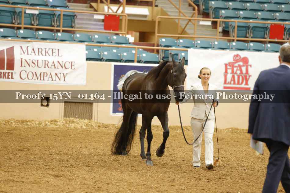 Proof 15YN_01464