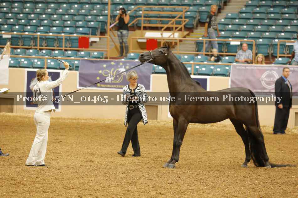 Proof 15YN_01465