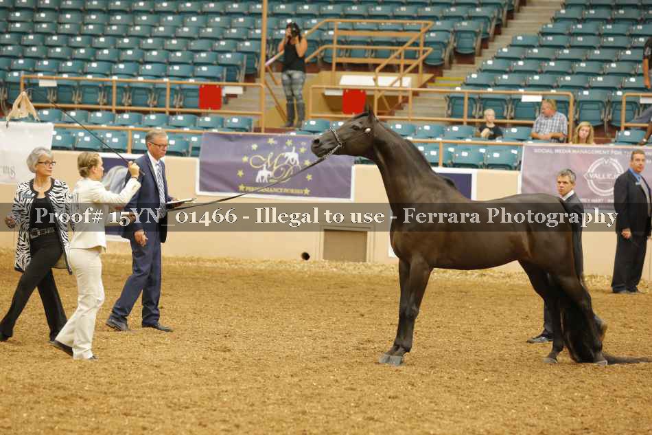 Proof 15YN_01466