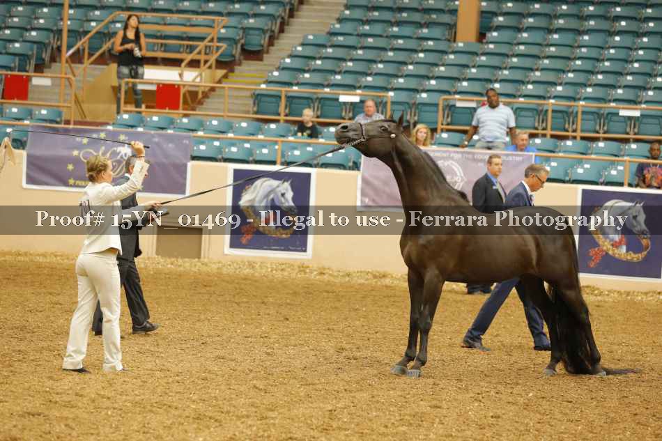 Proof 15YN_01469