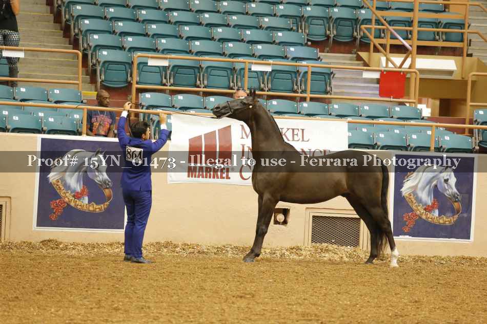 Proof 15YN_01473