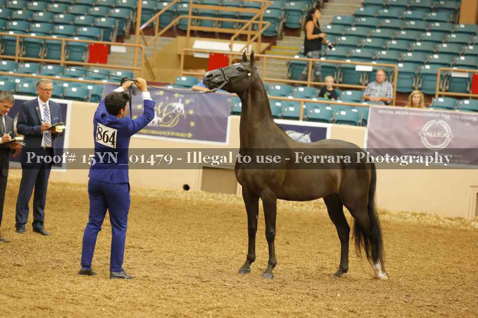Proof 15YN_01479
