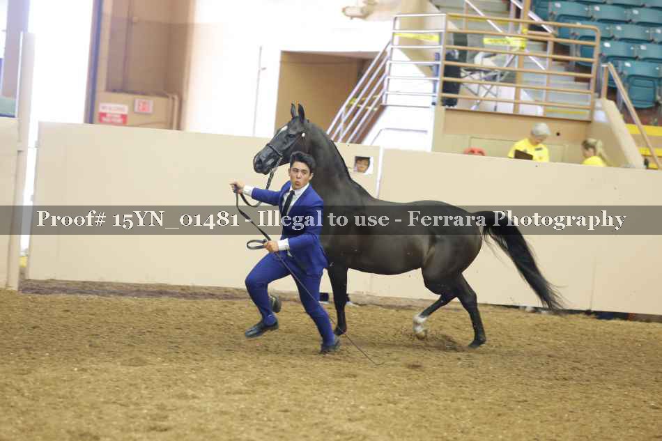 Proof 15YN_01481