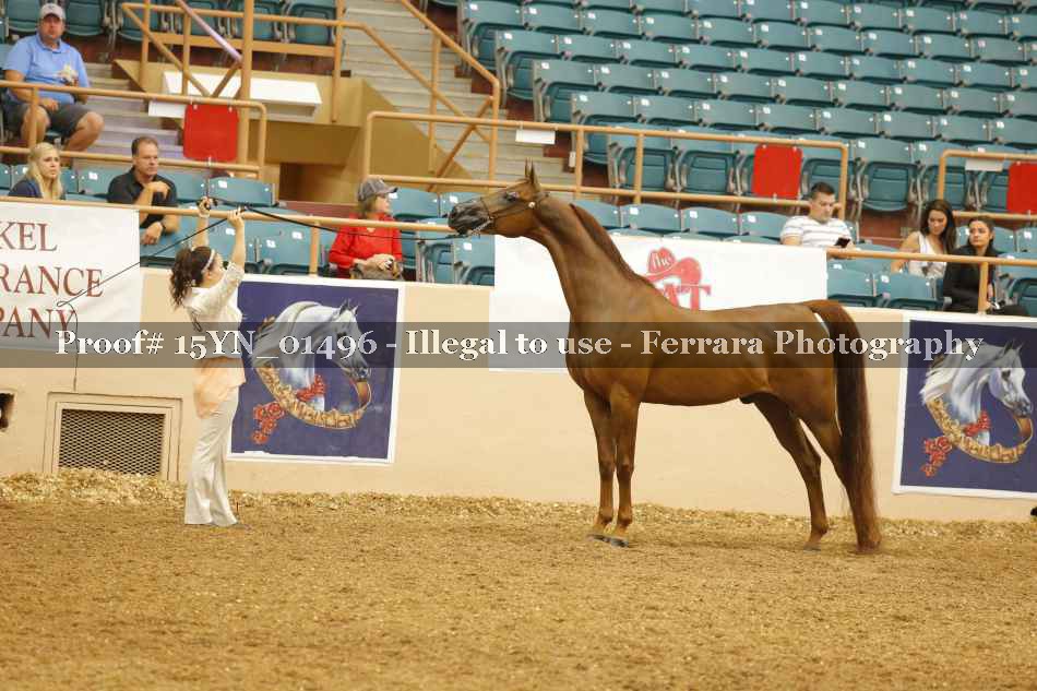 Proof 15YN_01496