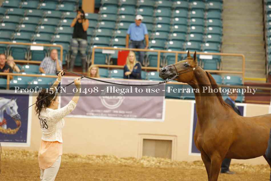 Proof 15YN_01498