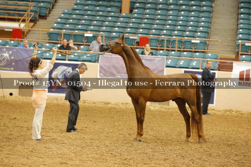 Proof 15YN_01504