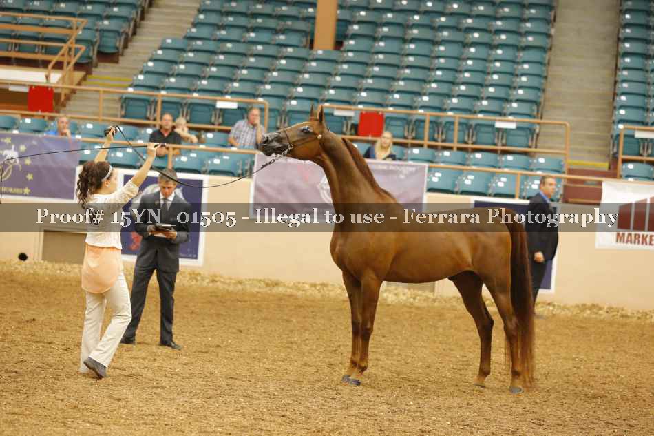 Proof 15YN_01505