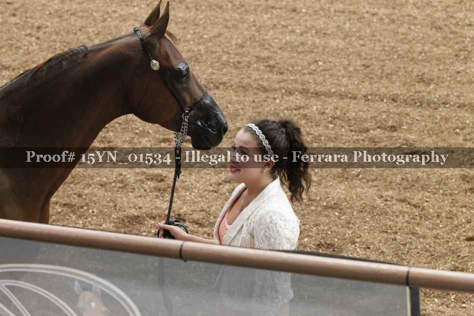 Proof 15YN_01534