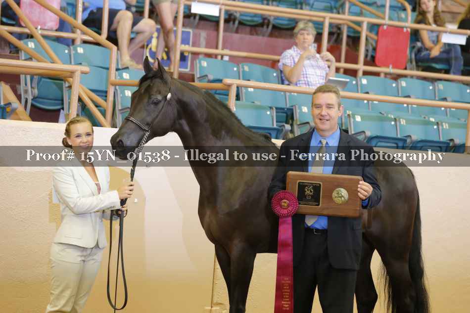 Proof 15YN_01538