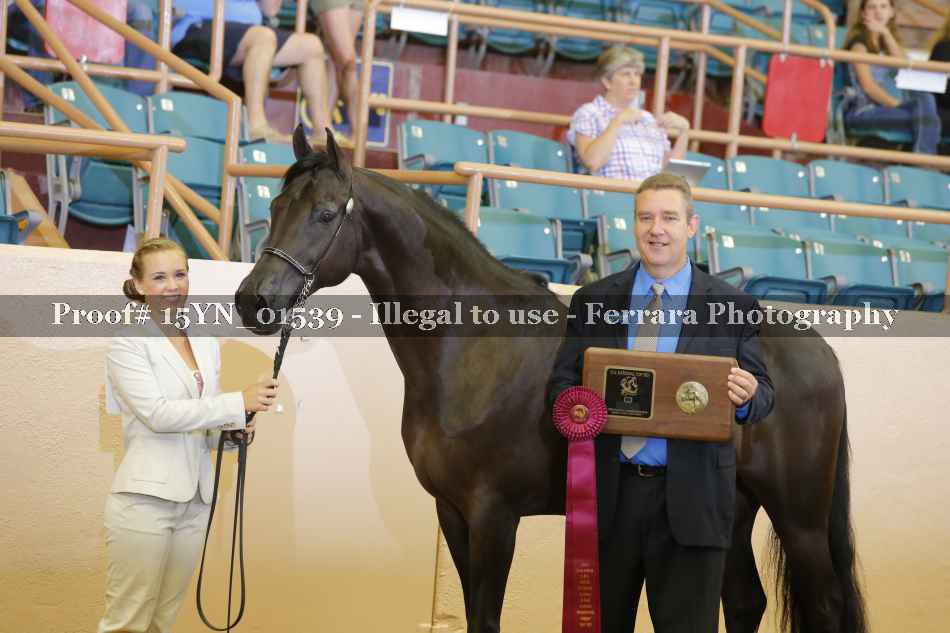 Proof 15YN_01539