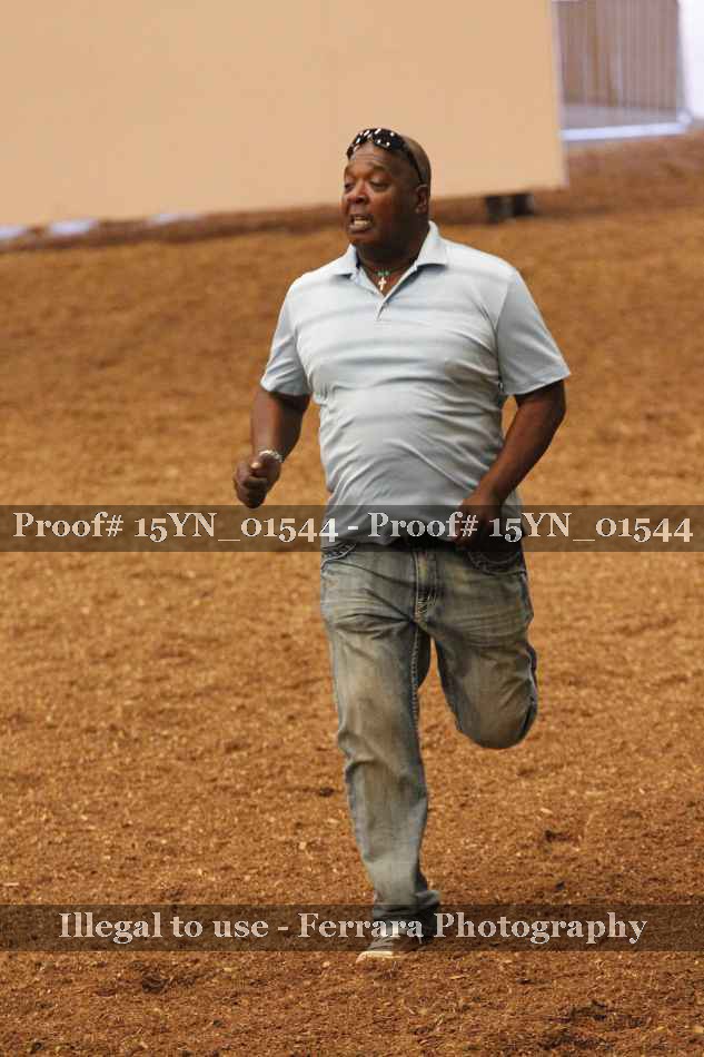 Proof 15YN_01544