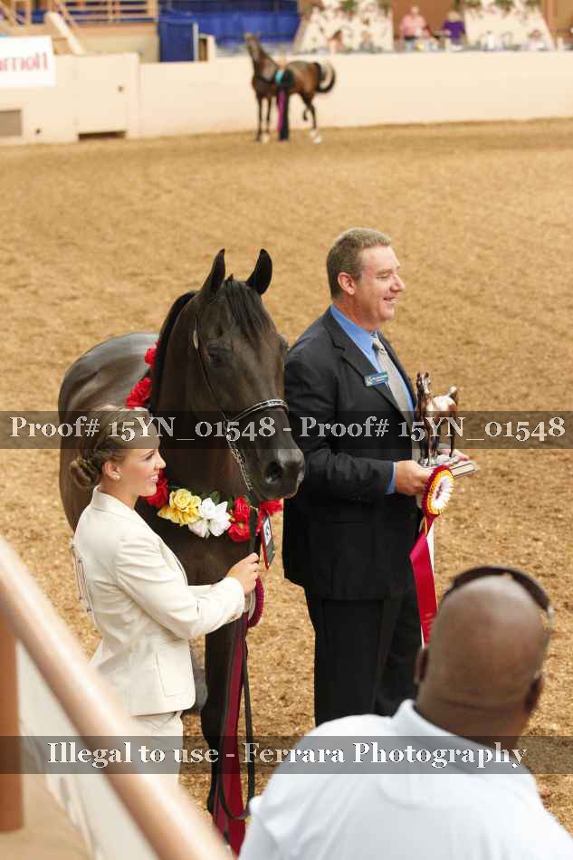 Proof 15YN_01548