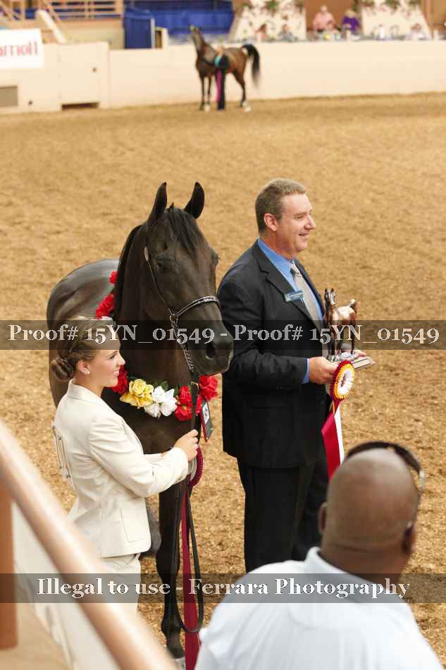 Proof 15YN_01549